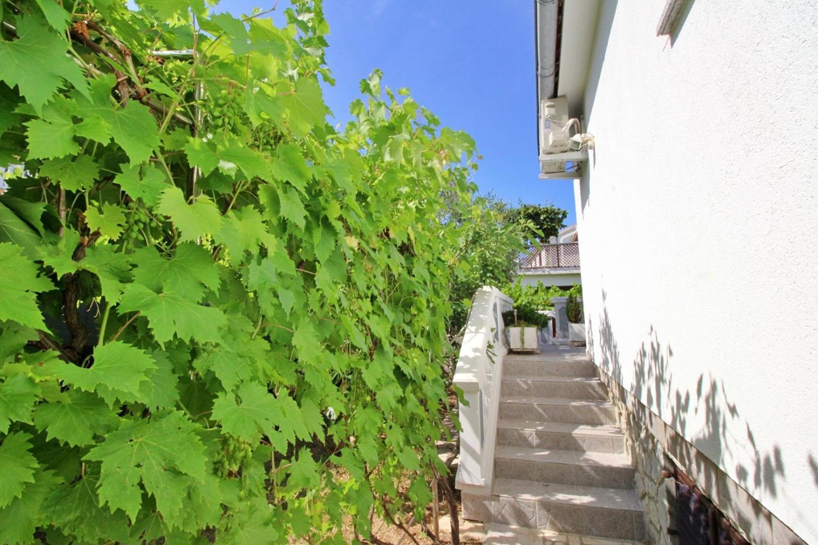 Apartments Zlatica Šilo Екстериор снимка